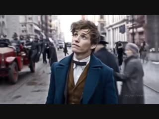 Newt scamander / fantastic beasts