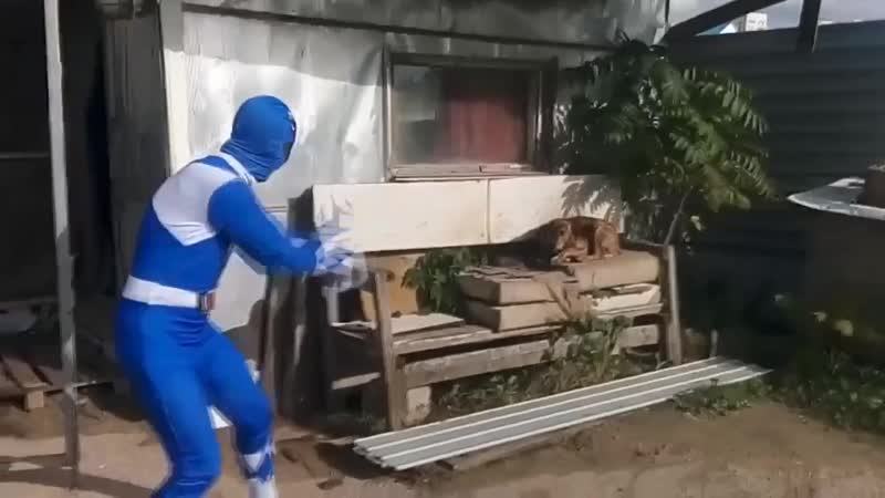 Ну здорова, коль не шутишь (vhs video)