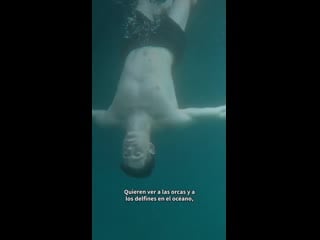 Miguel bernardeau for peta latino, 2020