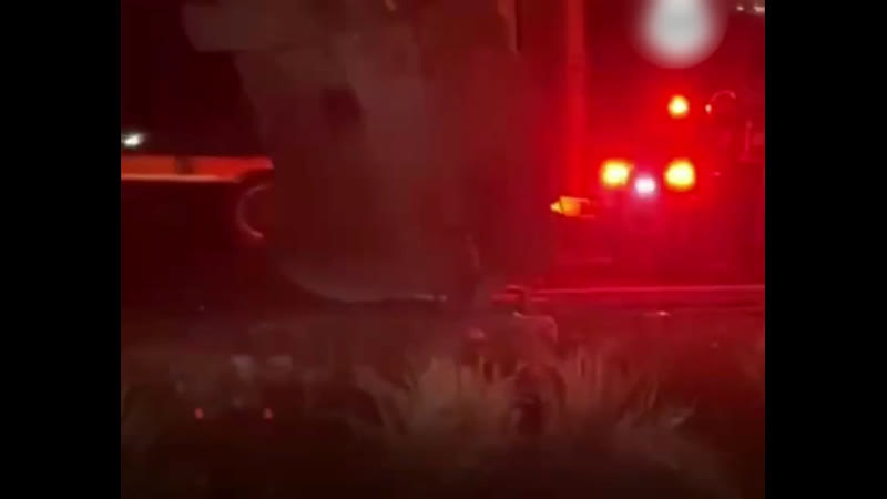 Похоже пастухи в тапках подготовились, а не тиктоки снимали