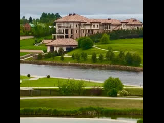 Лоси зашли в гости