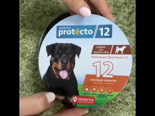 Распакоа ошейника protecto 12