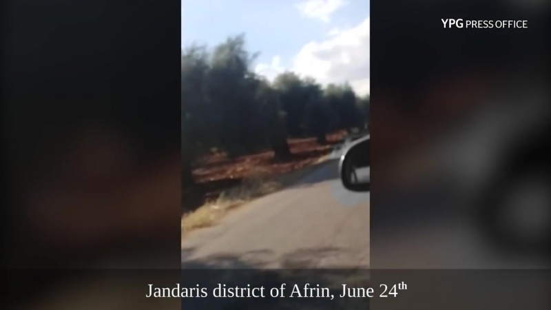 Курды из ypg расстреляли боевика из файлак ар рахман