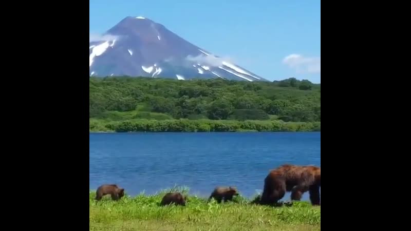 Kamchatka porn video – 🔥 this family in kamchatka, russia