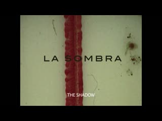 The shadow / la sombra (2015) dir javier olivera