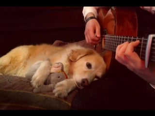 This literally cured my depression