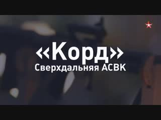 Крупнокалиберная снайперская винтоа