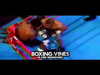 Roy vine (boxing vines) l com/boxingvines