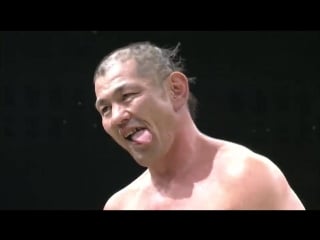 Tenryu project genichiro tenryu retirement 2015 revolution final