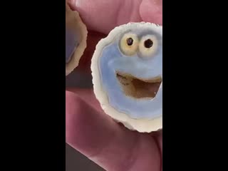 Cookie monster agate from brazil