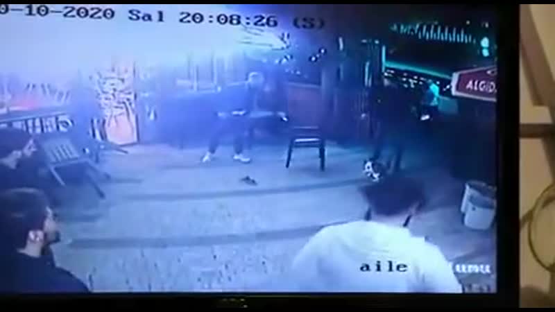 Кот смотрящий