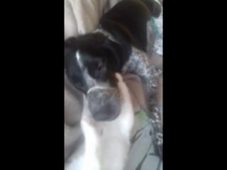 Лотта и ярик