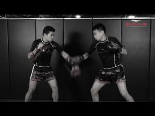 Muay thai low kick, straight left k o fight breakdown evolve university