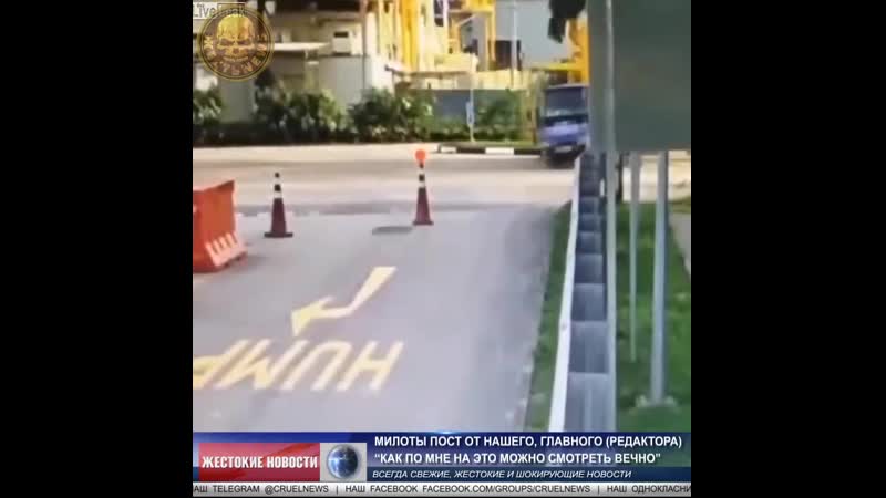 Милоты пост от нашего, главного (редактора) mp4