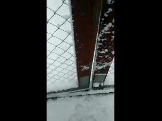 Vid 20201201 114132 mp4