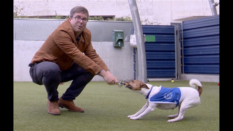 #londonблог кто и как помогает бездомным молодые в британии