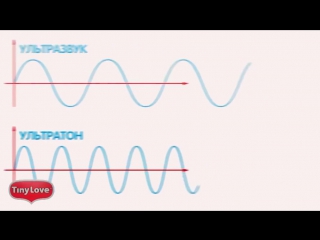 Tiny love люлька баунсер 3 в 1