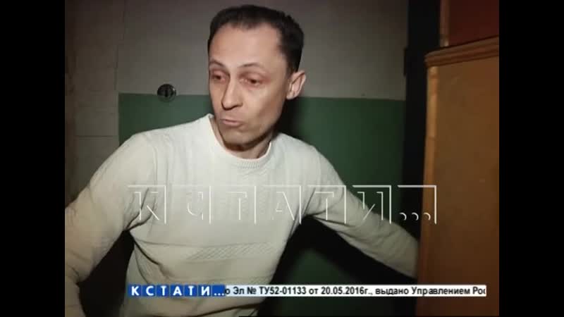 Нижегородец два года оглушает соседей лошадиным ржанием и рамштайном