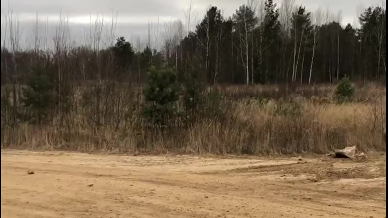 Багги д3 спринт калининец mp4