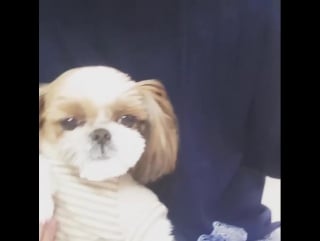 Dorky thanks to the fans