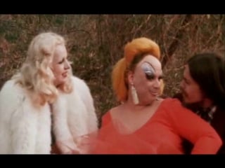 Розовые фламинго / pink flamingos (1972)