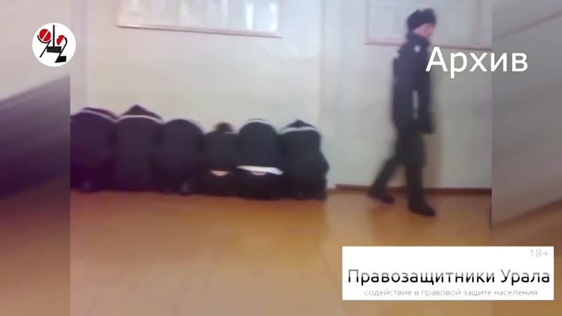 Тау новичков в колонии молодые черенком