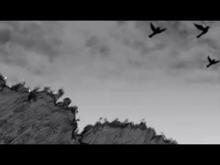 Dj onix brazil rei de israel avi