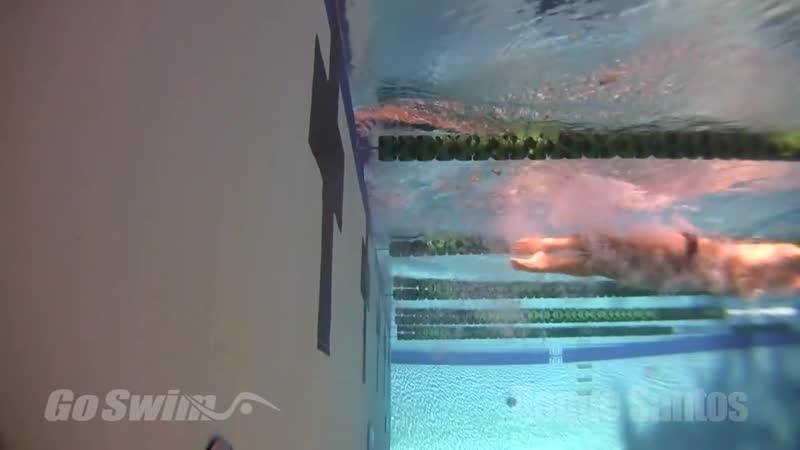 Breaststroke with roque santos