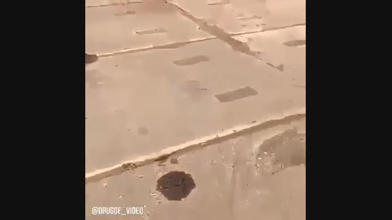 Когда забыл поставить на ручник 🤣🤣