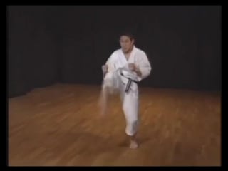 Kihon kata kumite