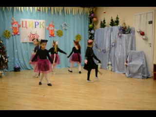 Дрессированные кошечки