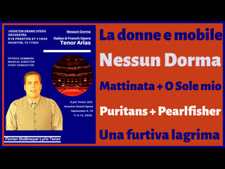 La donne e mobile, nessun dorma, the puritans, o sole mio by florian stollmayer tenor