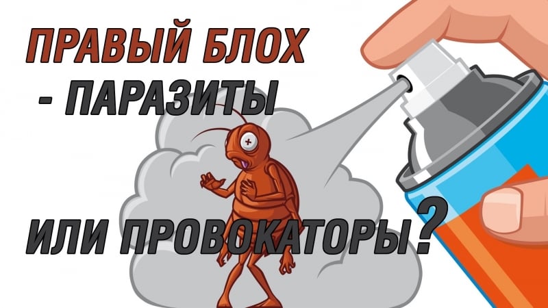 Представители оргкомитета русский марш 2018 о провокаторах из правого блока