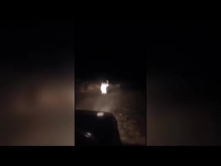 10 unexplained creatures caught on tape