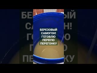 Готовлю к перегону брагу из березового сока! березовый самогон самогон из березового сока