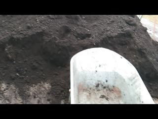 Video 20200430 132006 mp4