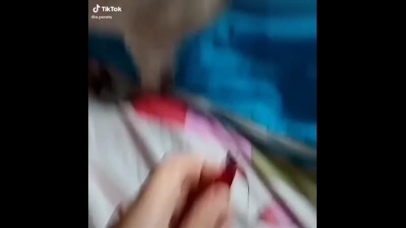 Не трогай письку