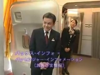 Jal cabin attendant