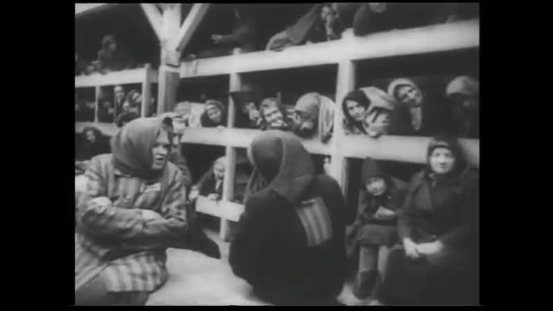 Зверства фашистов в концлагерях хроника * ссср д/ф война