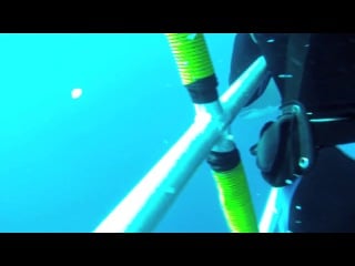 Great white shark scuba diving face to face with 12 footer!!!