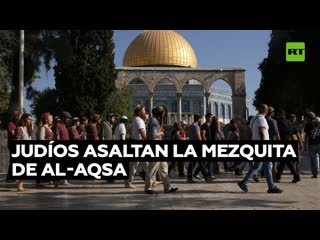 Judíos penetran en la mezquita de al aqsa en jerusalén, donde tienen prohibida la entrada