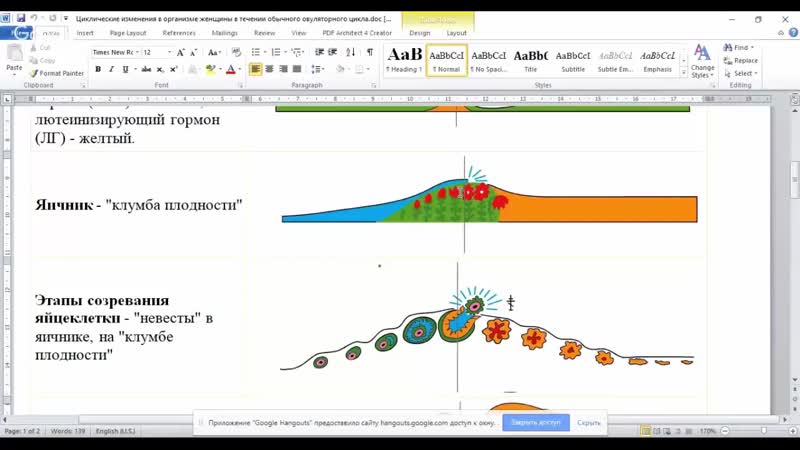 Две овуляции в одном цикле может ли быть две овуляции за цикл