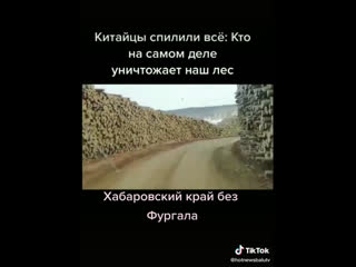 Китайцы пилят наш лес!!!