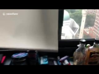 Liveleakcom new yorker startled to find spiderman game scene outside his apartment window