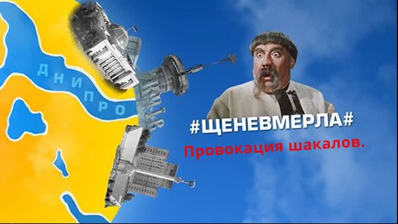#щеневмерла# провокация шакалов