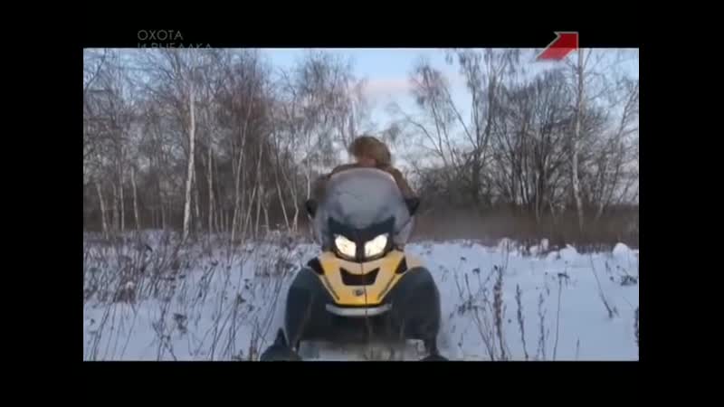 Загонная охота на лося в кировской области!