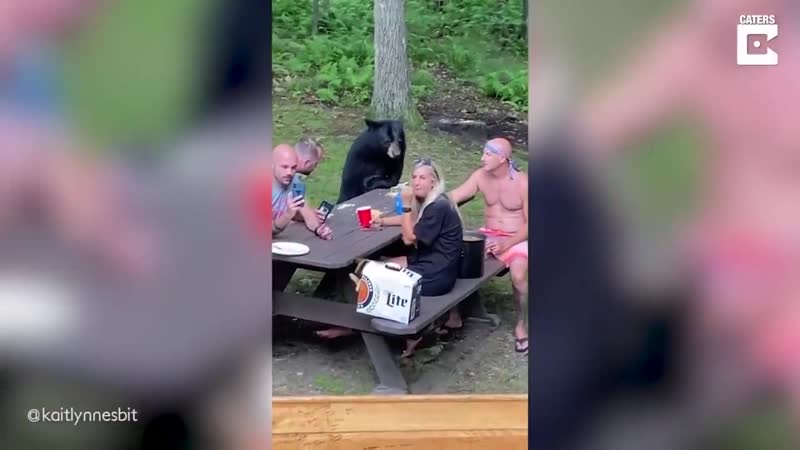 Ведмідь приєднався до родини на пікніку