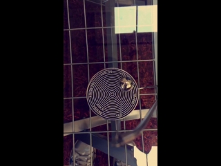Scott hoying snapchat