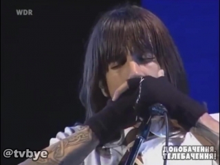 Red hot chili peppers потойбіччя [ukrtrashdub]