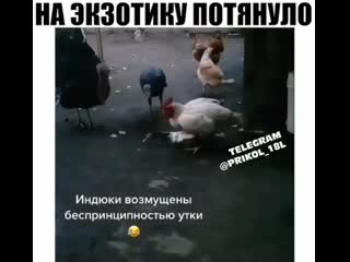 Видео от funny video еб*нутся лайфхаки